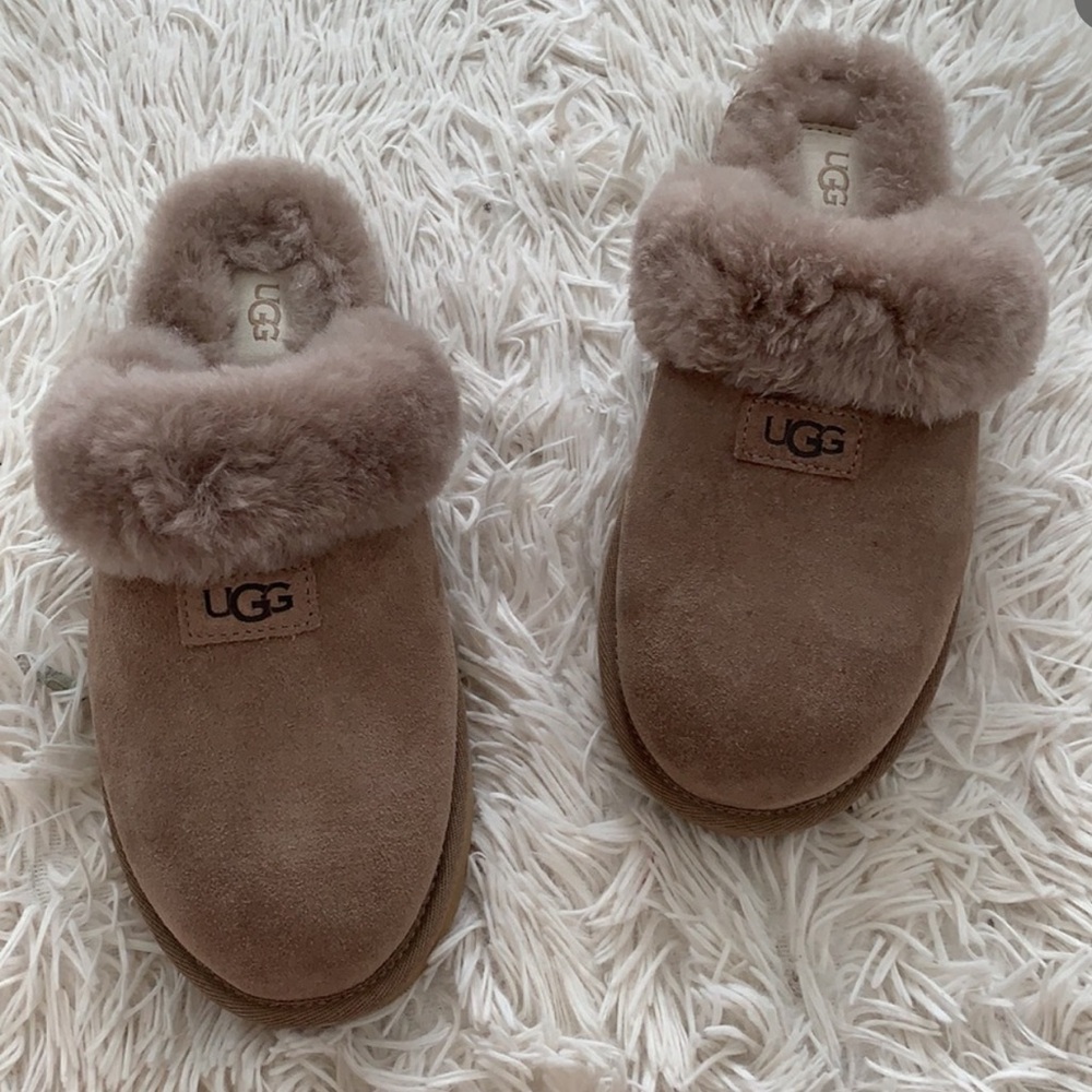 NWB UGG genuine shearling cozy suede slipper runs large - Picture 8 of 9
